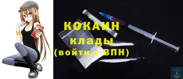 стафф Верхний Тагил