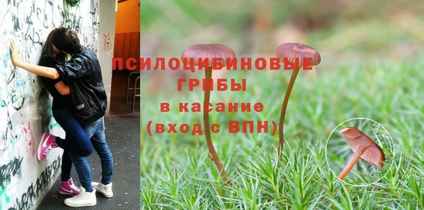 стаф Верхнеуральск