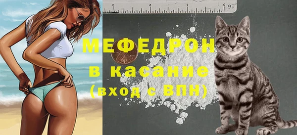 стафф Верхний Тагил