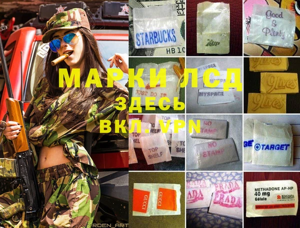 стафф Верхний Тагил