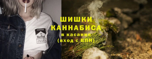 стафф Верхний Тагил