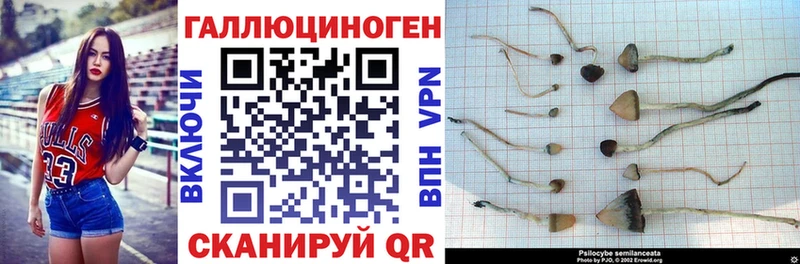 Галлюциногенные грибы мухоморы  купить  цена  Солнечногорск 